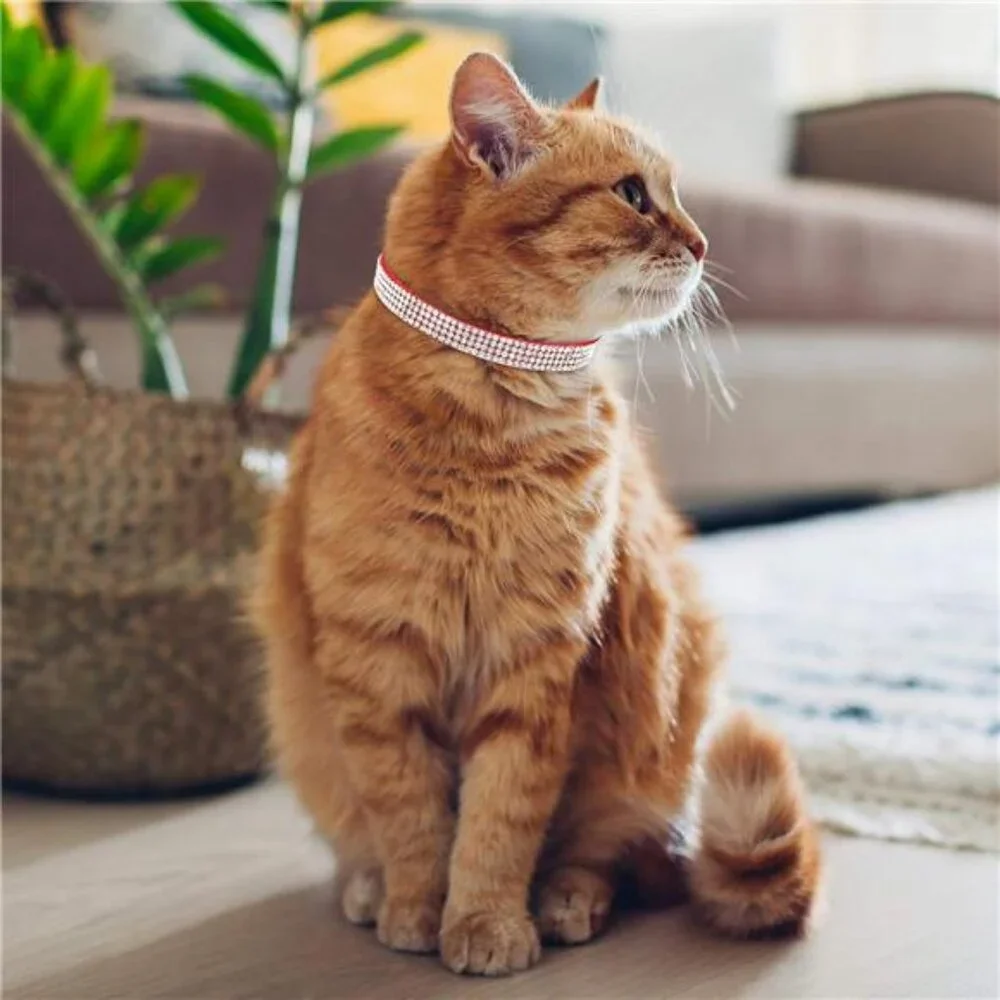 4 Pcs Rhinestone Cat Collar Heart Bling